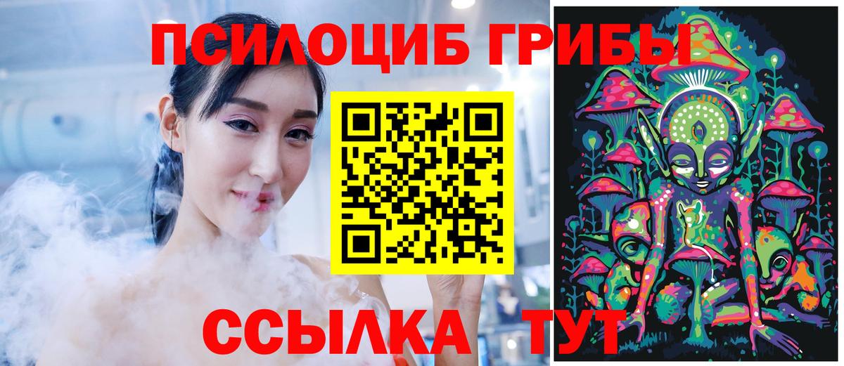 Псилоцибиновые грибы Cubensis  Галлюциногенные грибы мицелий  Вход с VPN  Владивосток 